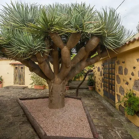 Canarian Farm With Pool Los Paredones منزل ريفي