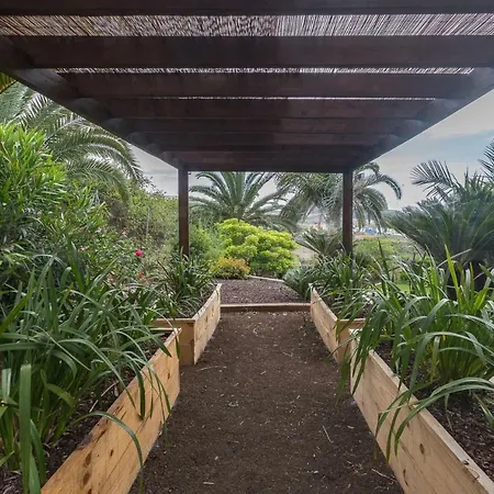 منزل ريفي Canarian Farm With Pool Los Paredones
