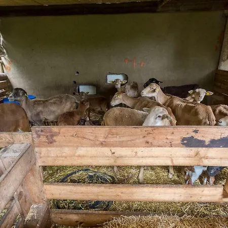 Canarian Farm With Pool Los Paredones منزل ريفي *
